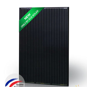 Solarmodul / monokristallines Silicium