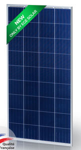 Solarmodul / polykristallines Silizium