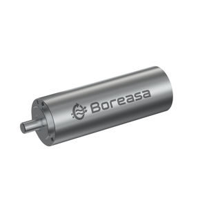 bürstenloser Motor