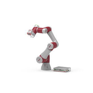 Knickarmroboter 1