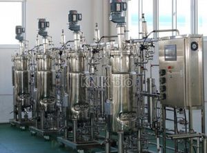 Fermenter