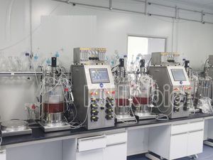 Chargen-Bioreaktor/Fermenter
