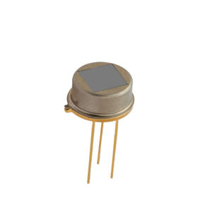 pyroelektrischer Infrarotsensor 1