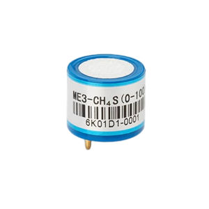 CH4S-Gassensor 1