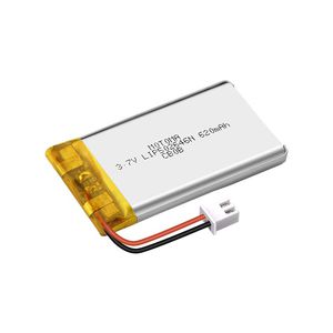 Lithium-Polymer-Batterie