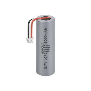 Lithium-Ionen-Batterie