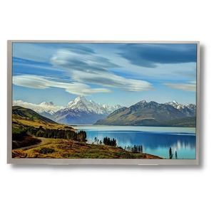10,1"-Displaymodul 1