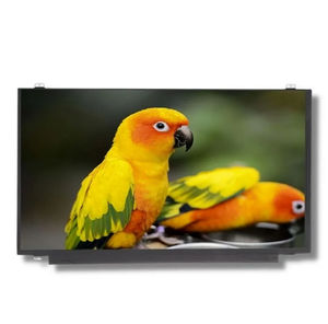 15,6"-Displaymodul 1