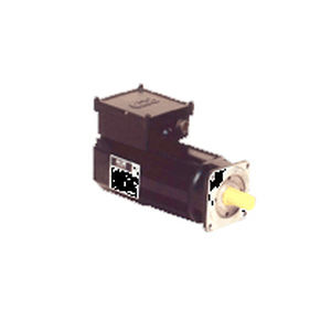 bürstenloser Servomotor