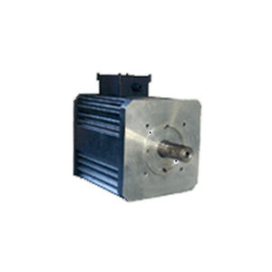 bürstenloser Servomotor
