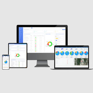 Statistik-Software