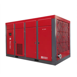 Schraubenkompressor 1