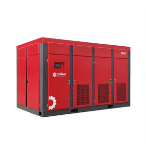 Schraubenkompressor 1