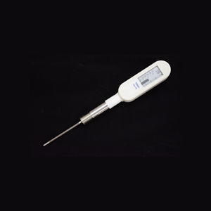 elektronisches Thermometer