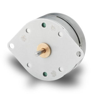 Schrittmotor 1