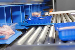 Rollenförderer / für die Lebensmittelindustrie / für Schalen / horizontal