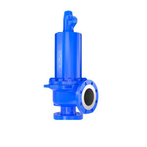 Gassicherheitsventil 1