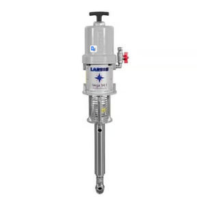 Kolbenpumpe 1