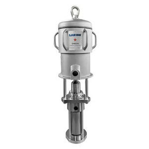 Kolbenpumpe 1