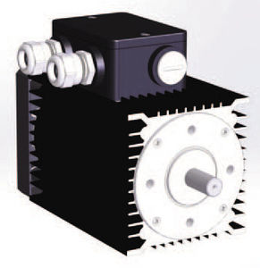 DC-Motor / bürstenlos / 24V / 8-polig