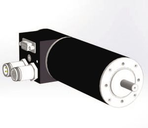 DC-Motor / bürstenlos / 24V / 4-polige