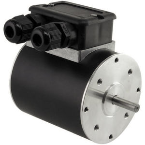 umkehrbarer Motor 1