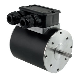 umkehrbarer Motor 1