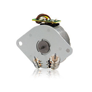 Schrittmotor 1