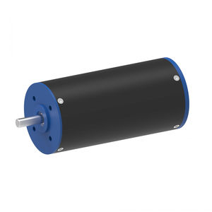 bürstenloser Motor