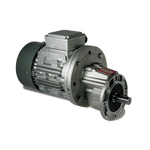AC-Elektrogetriebemotor / parallel / Schneckenzahnrad / Vollwellen
