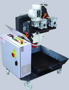 elektrische Kantenfräsmaschine
