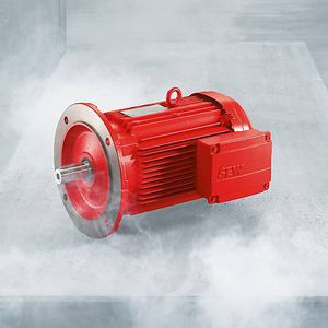 ex-geschützter Motor