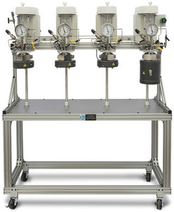 Reaktor für parallele Synthese 1