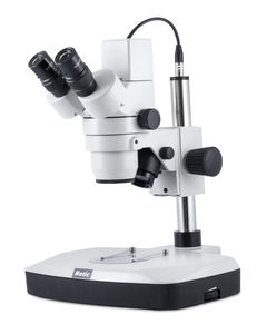 optisches Stereomikroskop