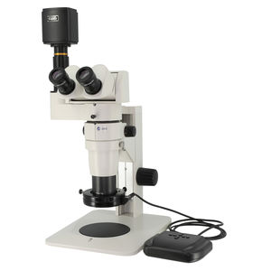 optisches Stereomikroskop 1