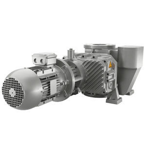 Drehkolbenpumpe