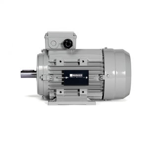 IE4-Motor