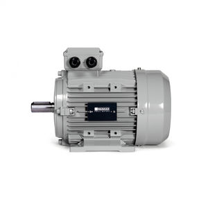 IE4-Motor