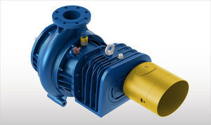 Kreiselpumpe 1