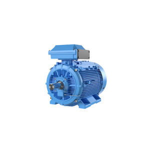 Induktionsmotor 1