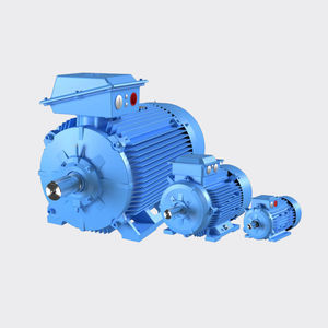 Induktionsmotor 1