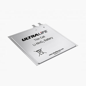 Lithium-Mangandioxid-Batterie