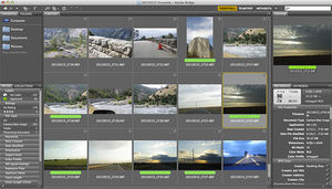 Lizenzmanagement-Software / Farb / zentral