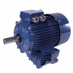 Motor mit unterschiedlichen Drehzahlen 1