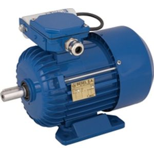Induktionsmotor 1