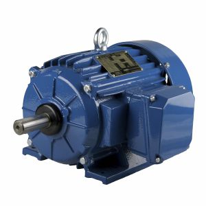 Induktionsmotor 1