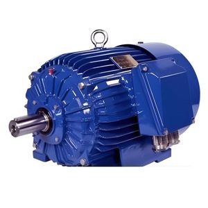 IE1-Motor 1