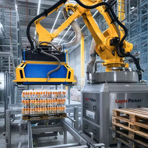 Palettierer und Depalettierer / Roboter