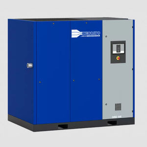 Schraubenkompressor 1