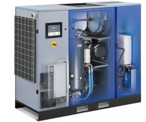 Schraubenkompressor 1